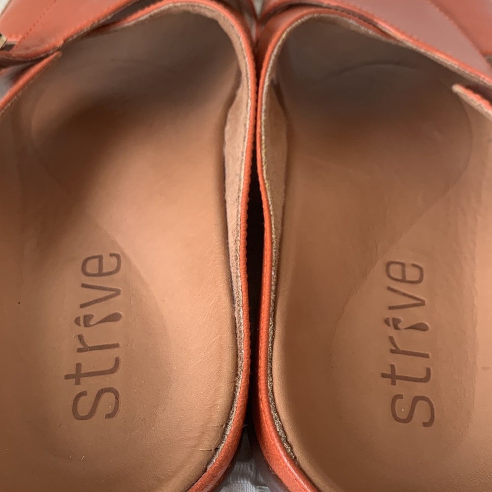 STRIVE - Picture 5 of 6